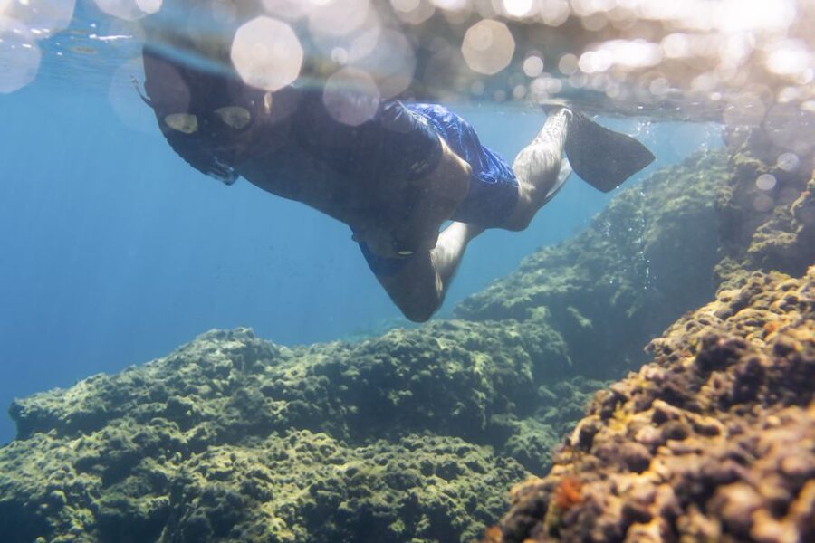 1-Hour Snorkeling Tour in Paraggi Bay, Portofino - The 10-minute briefing before entering the water