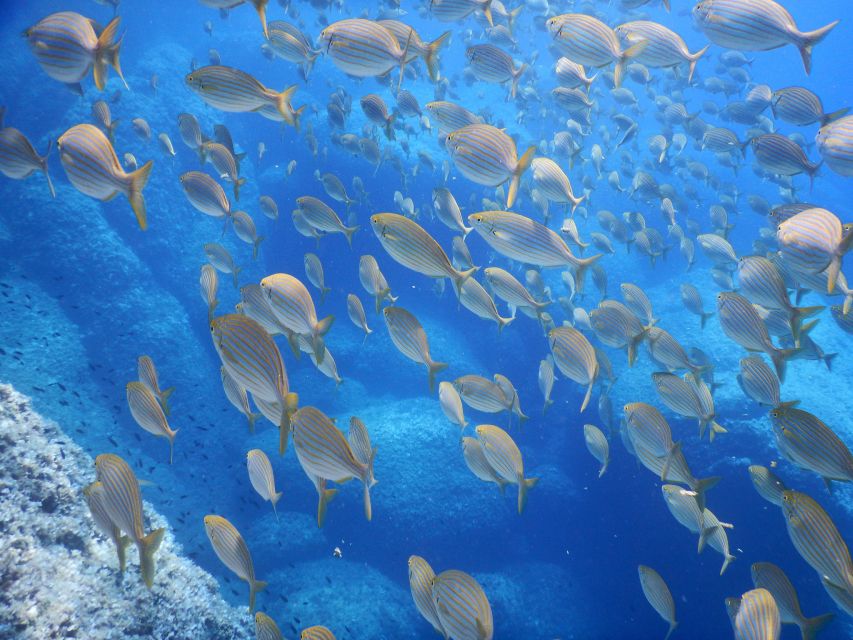 1-Hour Snorkeling Tour in Paraggi Bay, Portofino - Meeting the guide at Niasca Beach