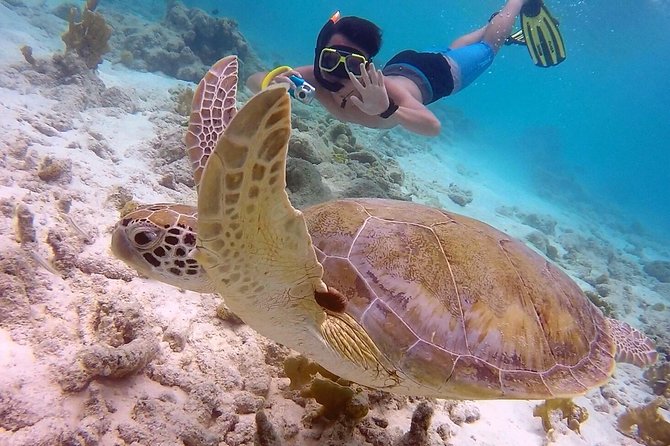 100% Private Charter Snorkel, Sail, Relax (Cruisers Friendly) - Klein Bonaire: the most requested snorkel stop