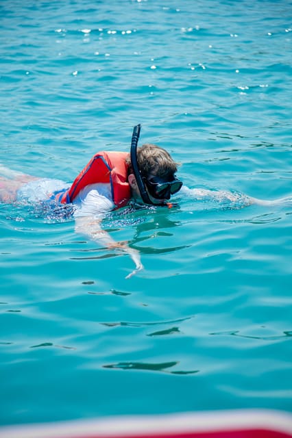2-3 hours of Private Snorkeling Trip in South of Phu Quoc - Key points before you book