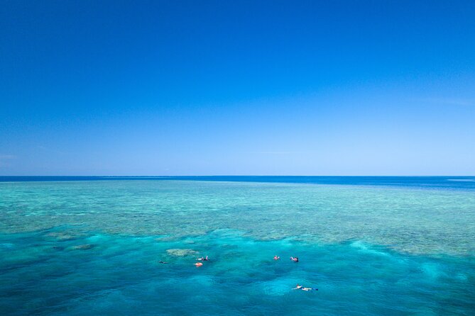 2-Day Snorkelling Experience - Great Barrier Reef Twin Share - Key points before you book