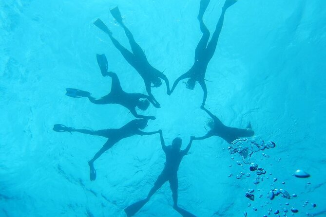 2-Hour Dolphin Watching and Double Reef with Snorkel in Hawaii - A sensible setup for first-time snorkelers