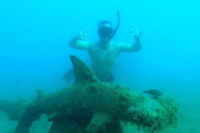 2 ½ - Hour Guided Snorkel Tour of Phil Foster park, Free Videos! - Is $44 a good value?