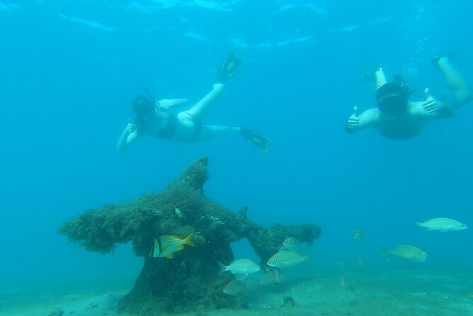 2 ½ - Hour Guided Snorkel Tour of Phil Foster park, Free Videos! - The first swim: learning to spot small creatures