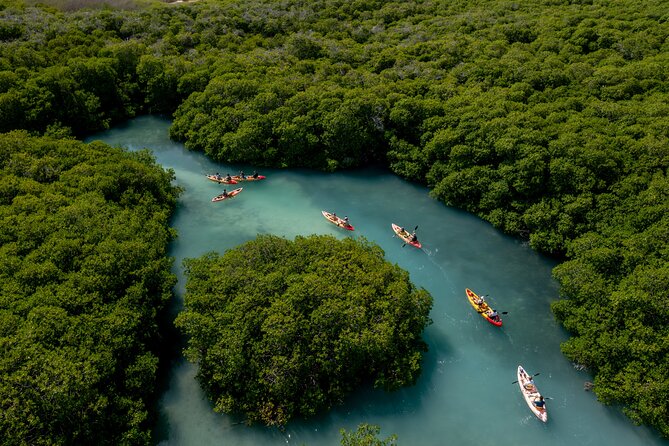 2 Hour Mangrove Kayak and Snorkel Tour - Why Lac Bay is the right setting for a kayak tour