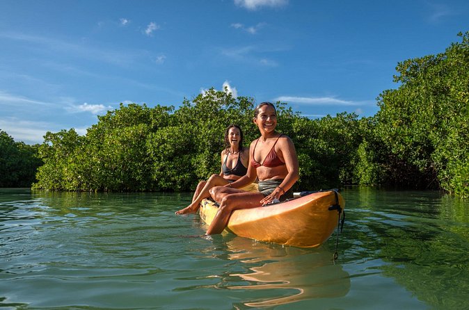 2 Hour Mangrove Kayak and Snorkel Tour - Watching for turtles on the return route