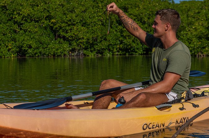 2 Hour Mangrove Kayak and Snorkel Tour - Who will enjoy this most
