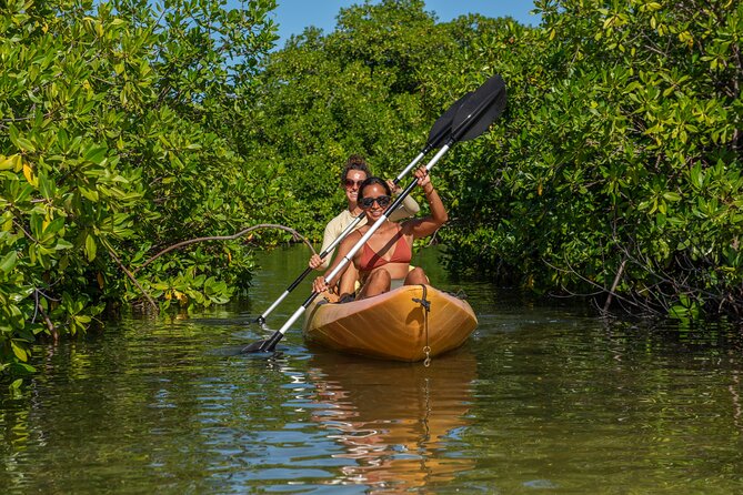 2 Hour Mangrove Kayak and Snorkel Tour - Practical preparation for a smoother outing