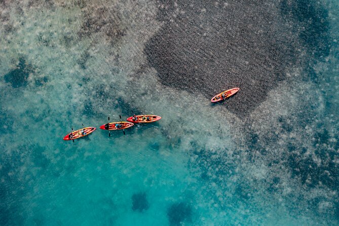 2 Hour Mangrove Kayak and Snorkel Tour - The meeting point and first few minutes