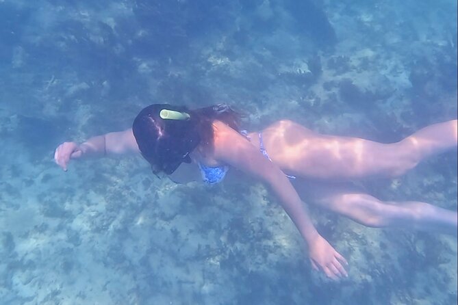 2-Hour Snorkeling in Two Spots of Tulum's Reef - Stop one: turtles, rays, and larger fish