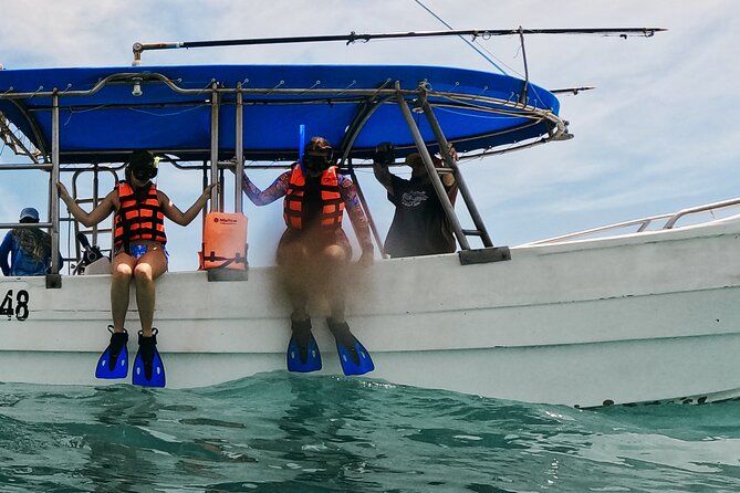 2-Hour Snorkeling in Two Spots of Tulum's Reef - Stop two: coral, schools of fish, and changing conditions