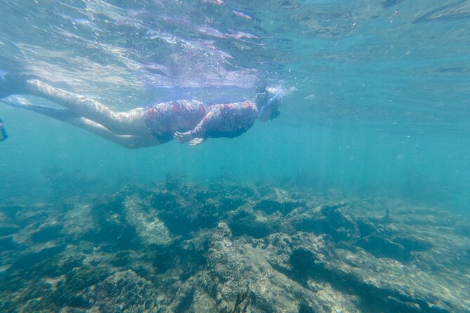 2-Hour Snorkeling in Two Spots of Tulum's Reef - Guides, equipment, and comfort in the water