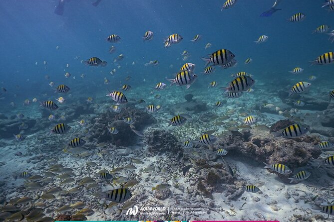 2-Hour Snorkeling Paradise Reef in Cancún Underwater Museum - Leaving Aquaworld for the reef