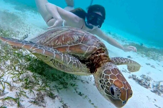 2 Hours Turtle Feeding, Shipwreck & Reef Snorkeling Tour Barbados - The slide, rum punch, and upper deck