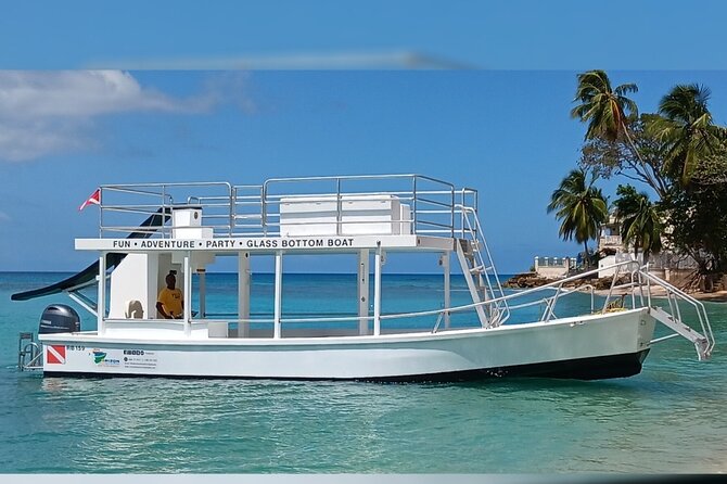 2 Hours Turtle Feeding, Shipwreck & Reef Snorkeling Tour Barbados - Getting there from Bridgetown and the cruise port