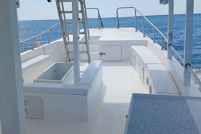 2 Hours Turtle Feeding, Shipwreck & Reef Snorkeling Tour Barbados - Is $65 a fair price?