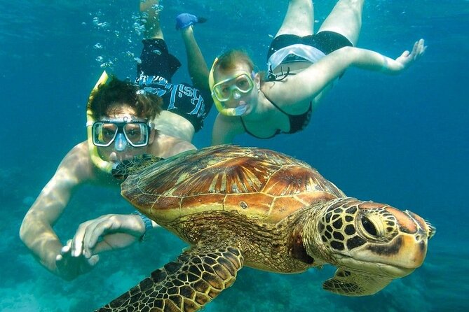 2 Hours Turtle Feeding, Shipwreck & Reef Snorkeling Tour Barbados - Who will enjoy this two-hour boat trip?
