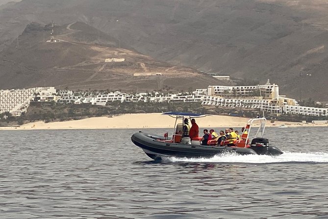 2h Dolphin and Whale Viewing + Snorkeling Tour - A cold drink and wide sea views