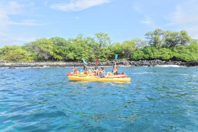 3.5 Hour Kailua-Kona Ocean Kayak and Snorkel Tour - Snorkeling over coral and more than 50 fish species