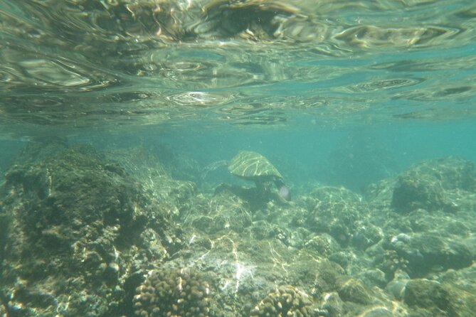 3.5 Hour Kailua-Kona Ocean Kayak and Snorkel Tour - Cliff jumping is optional, not a requirement