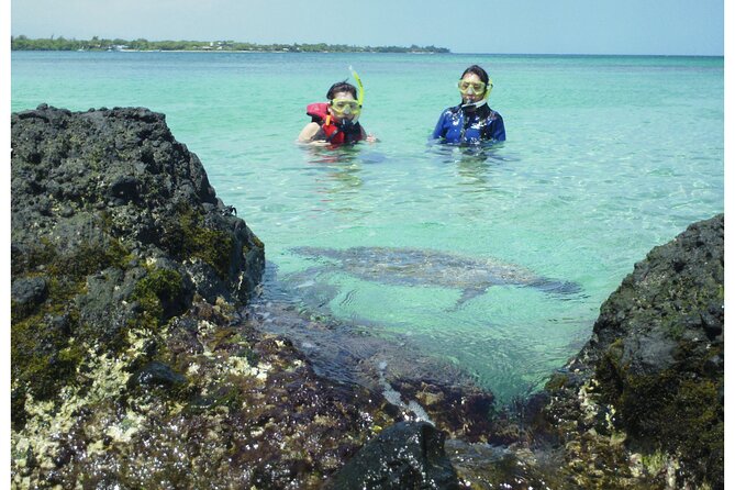 3.5 Hour Kailua-Kona Ocean Kayak and Snorkel Tour - Paddling along the volcanic shore
