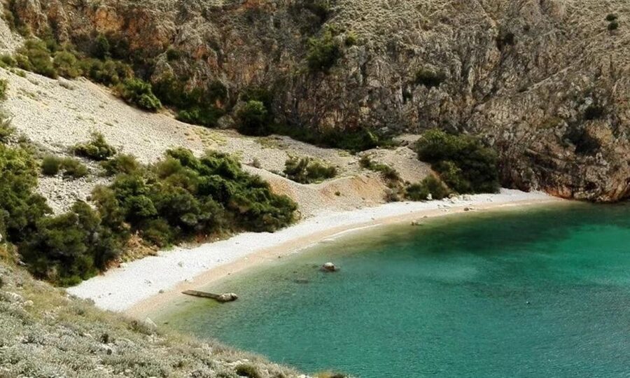 3,5h Wild Bays: Swim & Snorkel with Capt. Bobo (Public) - Two hours for swimming and snorkeling