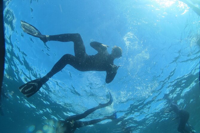 3-Hour Kayak and Snorkeling Experience in Batemans Bay - What the Batemans Bay kayak and snorkel tour is really like