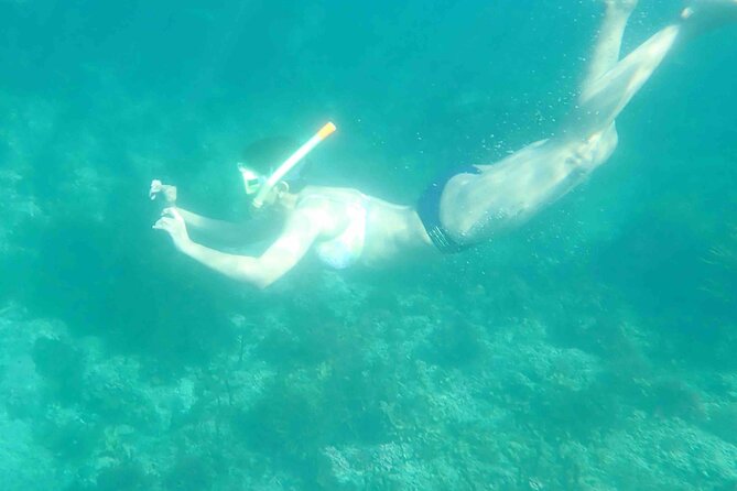 3-Hour Kayak and Snorkeling Experience in Batemans Bay - The one-hour paddle to the selected site