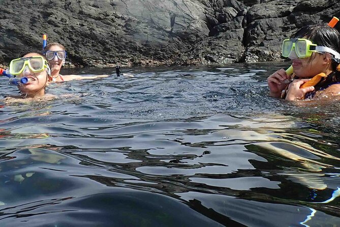 3-Hour Kayak and Snorkeling Experience in Batemans Bay - Morning tea in a kayak or beside the beach