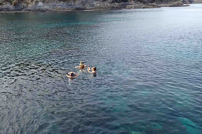 3-Hour Kayak and Snorkeling Experience in Batemans Bay - Assessing the $114.04 price