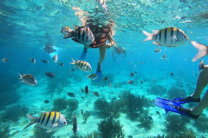 3 Hours VIP Semiprivate Tour Isla Mujeres Full Snorkeling Experience - Key points to know before booking