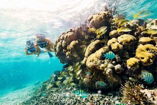 3-in-1 Puerto Morelos: Snorkeling, Tequila & Beachside Lunch - What can go wrong, and how to reduce the risk