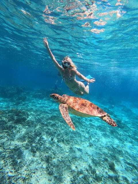 3 islands snorkeling & turtle sanctuary Gopro included - Gili Meno and the turtle sanctuary