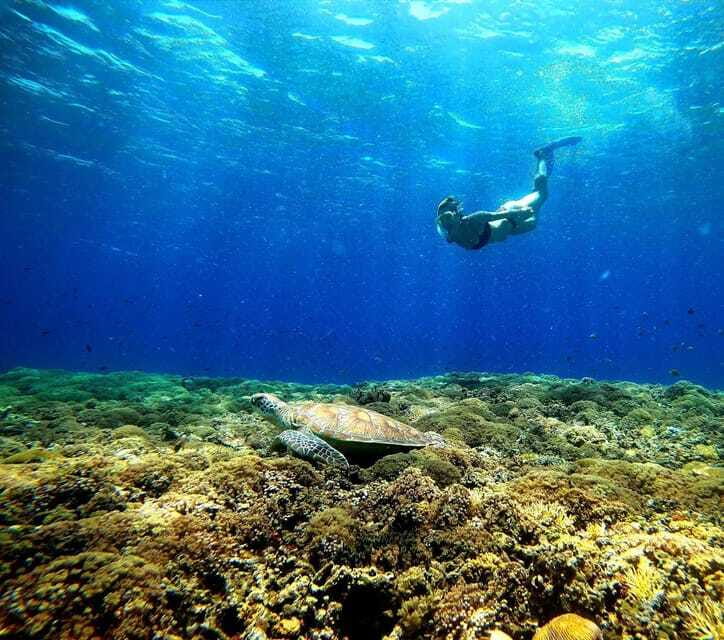 3 islands snorkeling & turtle sanctuary Gopro included - Timing, lunch, and what to bring