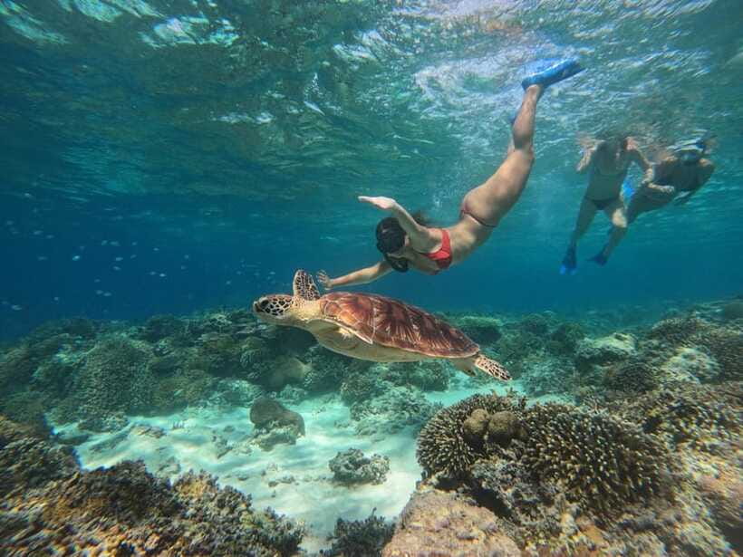 3 Islands Snorkeling with Glass Bottom Boat & GOPRO SHOOT - Blue Coral and the artificial reef
