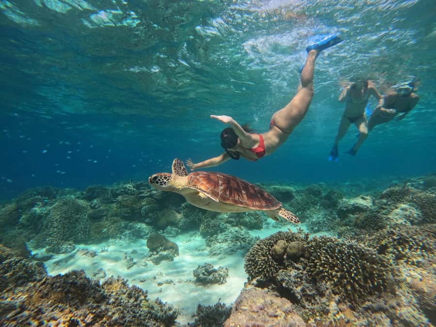 3 Islands Snorkeling with Glass Bottom Boat & GOPRO SHOOT - Starting from Gili Trawangan