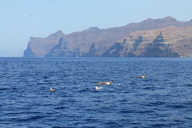 3h Boat Trip + Snorkeling in Puerto de Mogan - Lunch, sangria, and a proper break aboard