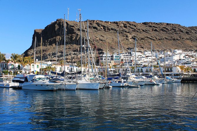3h Boat Trip + Snorkeling in Puerto de Mogan - Who will enjoy this most?