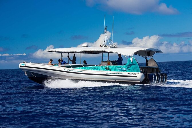 4 Hour Big Island Dolphin Watch Boat Tour, Snorkeling & BBQ Lunch - Stop two: a second chance for fish and turtles