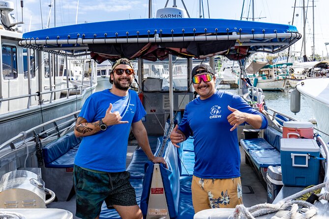 4 Hour Big Island Dolphin Watch Boat Tour, Snorkeling & BBQ Lunch - Wildlife watching without false promises
