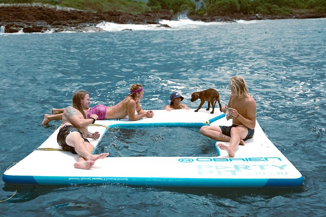 4 Hour Big Island Dolphin Watch Boat Tour, Snorkeling & BBQ Lunch - Stop one: Garden Eel Cove and Manta Heaven