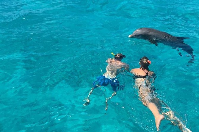 4-Hour Catamaran Sail and Snorkel Tour from Grace Bay - How much value do you get for $145.84?