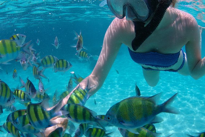 4-Hour Catamaran Sail and Snorkel Tour from Grace Bay - Who will enjoy this half-day outing?