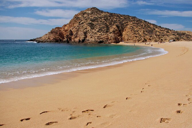 4-Hour Snorkeling Tour in Cabo San Lucas and Corridor - Pelican Rock for an easy first snorkel