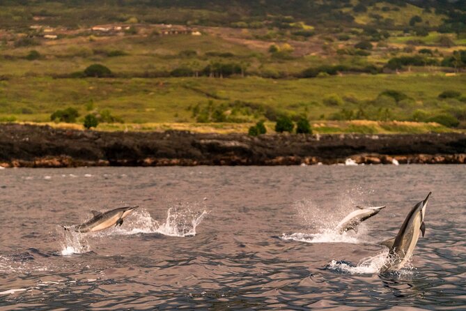 4 Hour Super-Raft Snorkeling Experience in Kailua-Kona - Leaving Kailua Pier on the Super-Raft