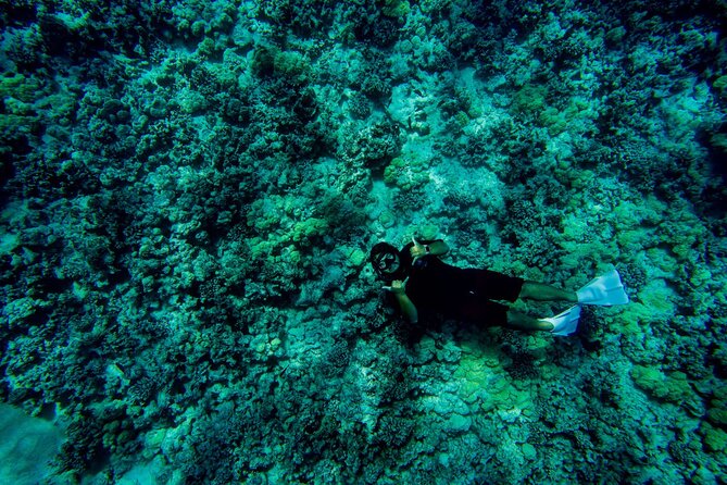 4 Hour Super-Raft Snorkeling Experience in Kailua-Kona - Practical details that can make the morning easier