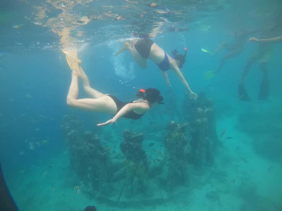 4 Hours Snorkeling 3 Gilis ( Trawangan,Meno, Gili air) - The Value of the $13 Price