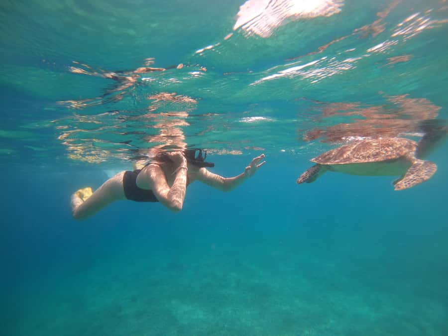 4 Hours Snorkeling 3 Gilis ( Trawangan,Meno, Gili air) - The Gili Air Stop