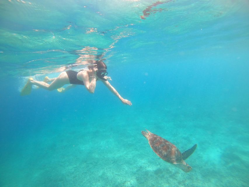 4 Hours Snorkeling 3 Gilis ( Trawangan,Meno, Gili air) - Photography, GoPro Access, and Realistic Expectations