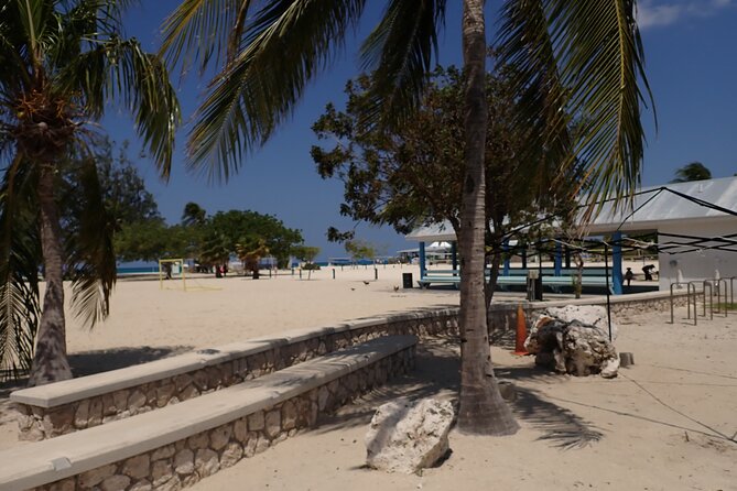 4-Stop Stingray, Snorkel, Star Fish & 7 Mile Beach (Family Owned) - Is $85 a good value?